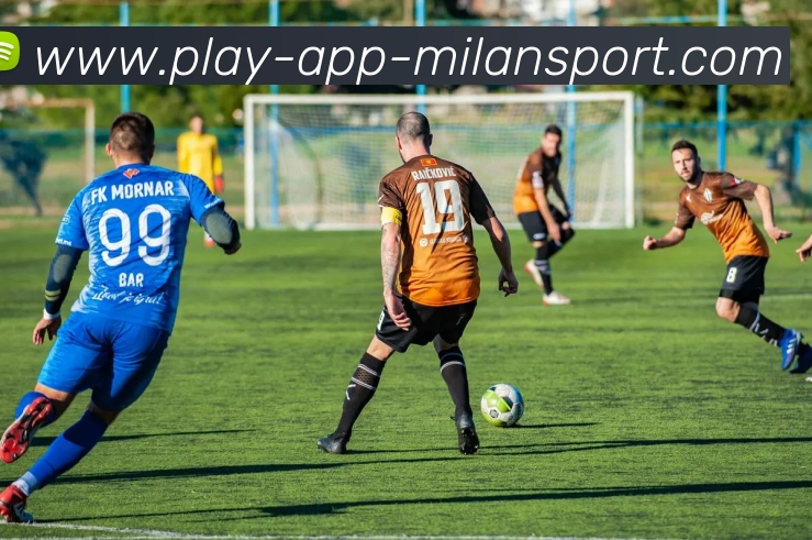 米兰体育正版平台APP 封面图